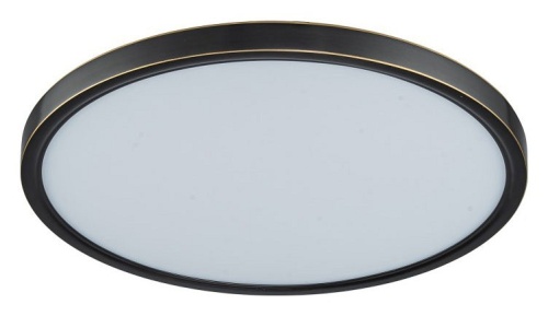 Накладной светильник Belfast Glenmore 8088-4H BL в Нижнем Новгороде