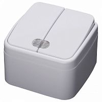 Выключатель двухклавишный с подсветкой Stekker Basic 39030 в Нижнем Новгороде