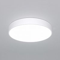 Накладной светильник Eurosvet Entire 90320/1 белый в Нижнем Новгороде