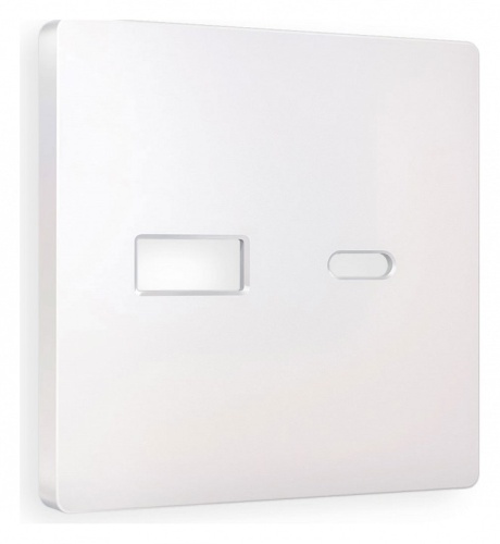 Накладка для розетки type A и C Ambrella Volt ALFA AP2110 в Нижнем Новгороде