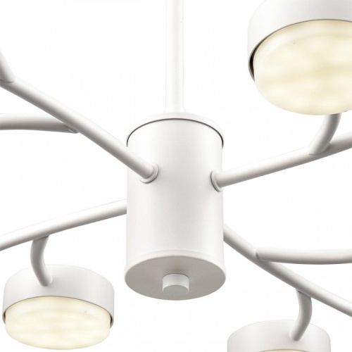 Люстра на штанге Lumion TORINA 8265/12 в Нижнем Новгороде фото 8