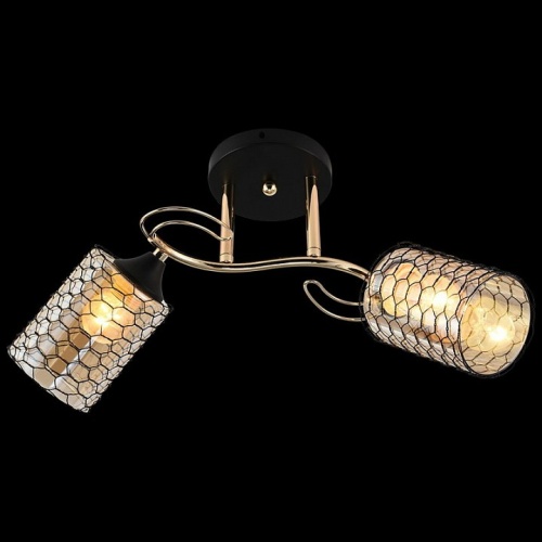 Светильник на штанге 01309-0.3-02 BK+FGD в Нижнем Новгороде фото 2