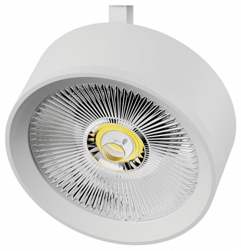 Плафон металлический Lightstar Alta Pro 215746 в Нижнем Новгороде