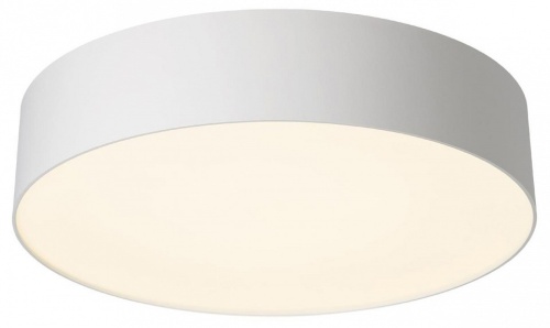 Накладной светильник Citilux BART CL755290 в Нижнем Новгороде