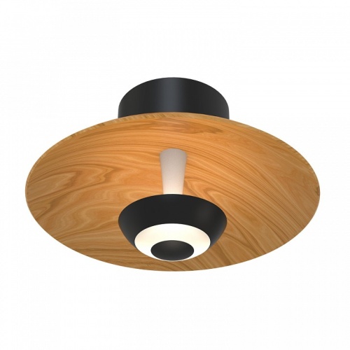 Накладной светильник Favourite Rueda 4288-1W в Нижнем Новгороде фото 2