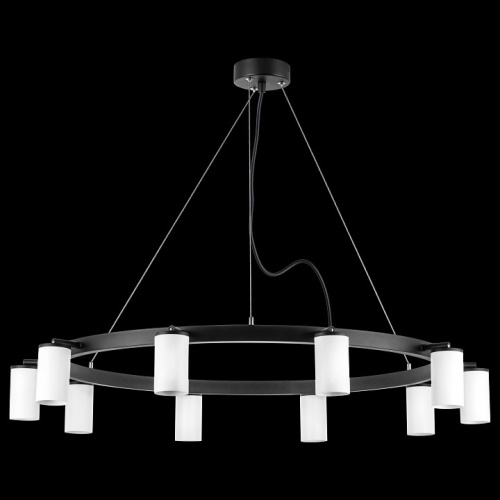 Подвесная люстра Lightstar Rullo LR020360 в Нижнем Новгороде фото 4