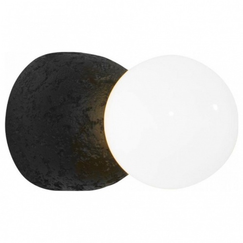 Накладной светильник Loft it Quill 10109W Dark grey в Нижнем Новгороде фото 4