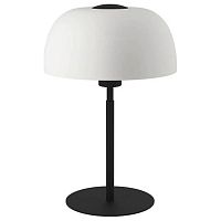Настольная лампа декоративная Eglo Solo 2 900142 в Нижнем Новгороде