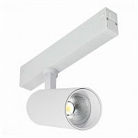 Светильник на штанге ST-Luce SKYLINE 220 ST660.536.20 в Нижнем Новгороде