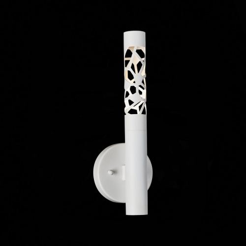 Бра ST-Luce Fizorio SL1577.501.01 в Нижнем Новгороде фото 8