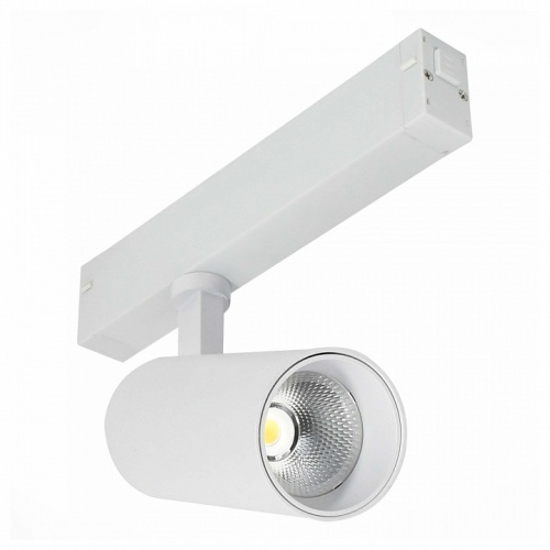 Светильник на штанге ST-Luce SKYLINE 220 ST660.536.20 в Нижнем Новгороде