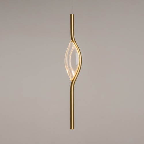 Подвесной светильник Maytoni Foresight MOD347PL-L8BS3K в Нижнем Новгороде фото 2