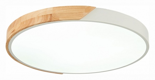 Накладной светильник EVOLUCE Festa SLE200952-01 в Нижнем Новгороде фото 2