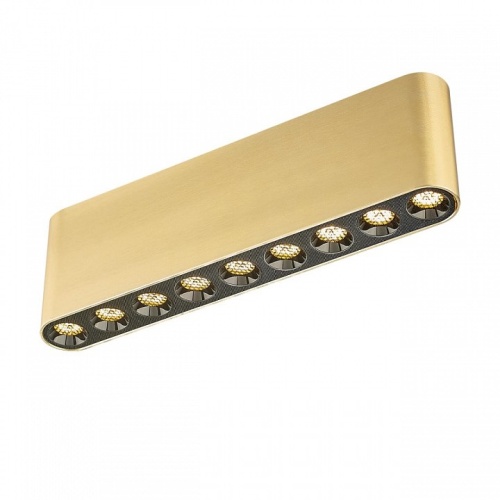 Накладной светильник Odeon Light Small 7093/21CL в Нижнем Новгороде фото 6