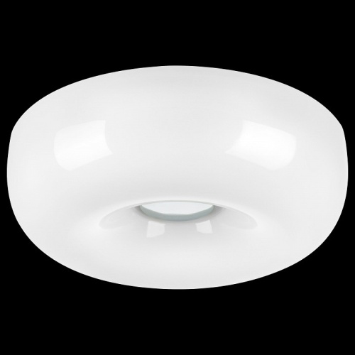 Накладной светильник Lightstar Celesta 809316 в Нижнем Новгороде фото 8