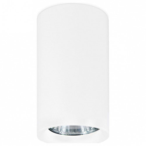 Накладной светильник Ambrella Light TN TN213133 в Нижнем Новгороде