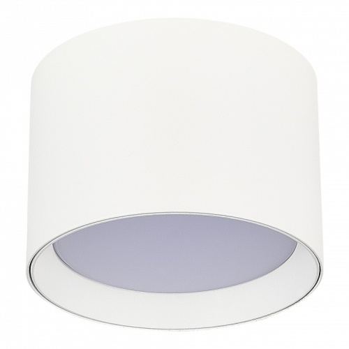 Накладной светильник ST-Luce  ST163.502.01.02 в Нижнем Новгороде фото 2