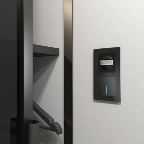 Датчик движения Werkel черный W1155108 в Нижнем Новгороде фото 5