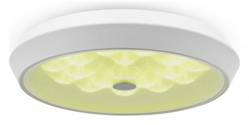 Накладной светильник Freya Cells FR10012CL-L24W в Нижнем Новгороде фото 11