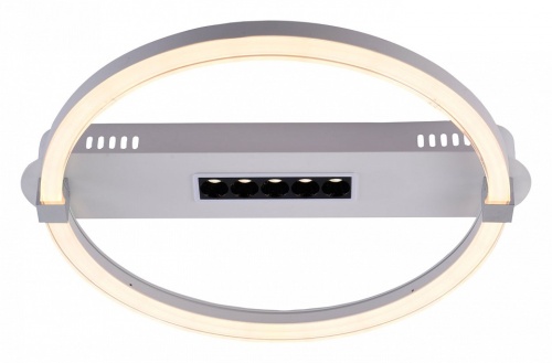 Накладной светильник Escada Aspect 10253/1LED в Нижнем Новгороде фото 3