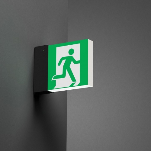 Светильник-указатель Arlight EMG-MARK 059801 в Нижнем Новгороде фото 2