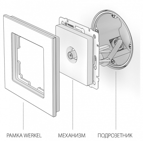 ТВ-розетка Werkel белый W1184001 в Нижнем Новгороде фото 2