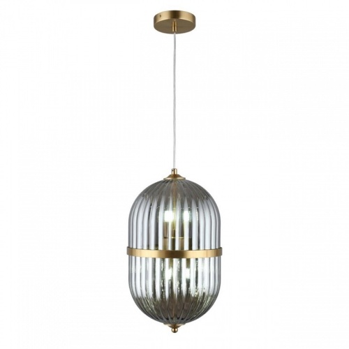 Подвесной светильник Aployt Ludovica APL.860.06.06 в Нижнем Новгороде фото 5