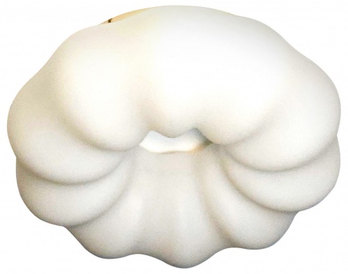 Накладной светильник Zortes Soft ZRS.1118.2 в Нижнем Новгороде фото 2