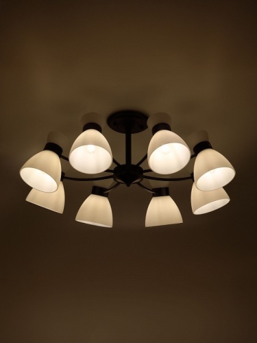 Люстра на штанге Rivoli Aemilia 9185-308 в Нижнем Новгороде фото 7