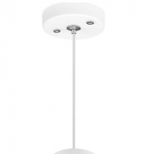 Подвесной светильник Lightstar Rullo RP496437 в Нижнем Новгороде фото 2