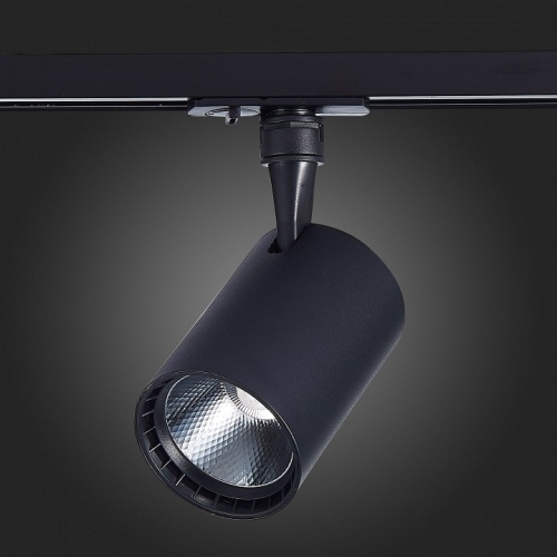 Светильник на штанге ST-Luce Cami ST351.446.30.36 в Нижнем Новгороде фото 6