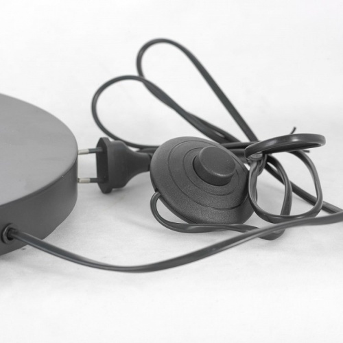 Торшер Lussole  LSP-0590 в Нижнем Новгороде фото 4