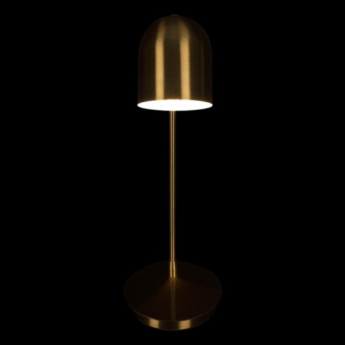 Настольная лампа офисная Loft it Tango 10144 Gold в Соколе фото 2