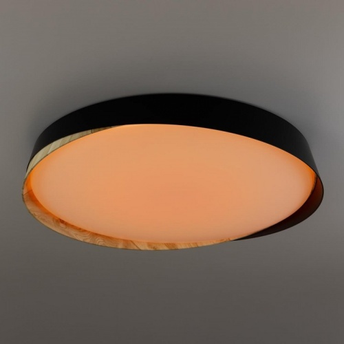 Накладной светильник Citilux BONNY CL754451G в Нижнем Новгороде фото 11