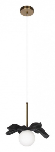 Подвесной светильник Loft it Monro 10213/A Black в Нижнем Новгороде фото 5