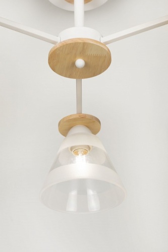 Люстра на штанге Rivoli Theothila Б0068434 в Нижнем Новгороде фото 5