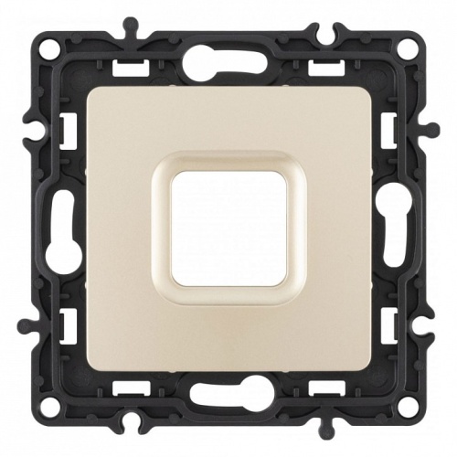 Розетка для вывод кабеля без рамки Arte Milano am-217 217.49-1.shampan в Нижнем Новгороде