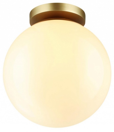 Накладной светильник Odeon Light Bosco 4248/1C в Кораблино фото 4