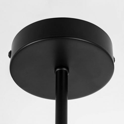 Люстра на штанге Citilux Fisher CL218163 в Нижнем Новгороде фото 7