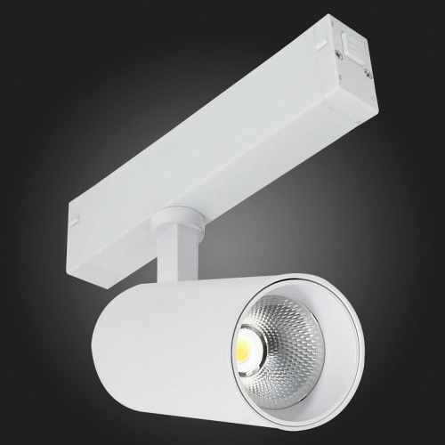 Светильник на штанге ST-Luce ST660 ST660.596.10 в Нижнем Новгороде фото 2