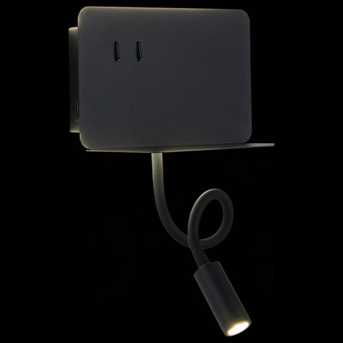 Бра ST-Luce Pinaggio SL1576.401.02 в Нижнем Новгороде фото 4