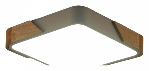 Накладной светильник Zortes Alberro ZRS.01285.36 в Нижнем Новгороде фото 3