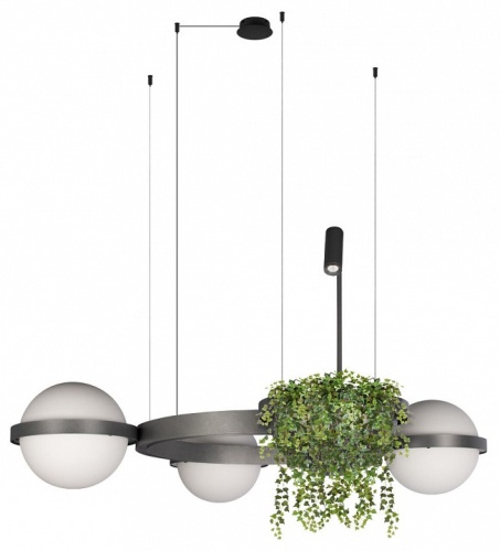 Подвесная люстра Loft it Jardin 10121/3 Dark grey в Нижнем Новгороде фото 5