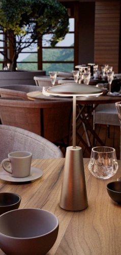 Настольная лампа декоративная Eglo PICCOLA 900924 в Нижнем Новгороде фото 5