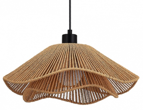 Подвесной светильник EVOLUCE VERVE SLE6023-603-01 в Нижнем Новгороде