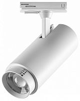 Светильник на штанге Lightstar Fuoco P+CCT 218026 в Нижнем Новгороде