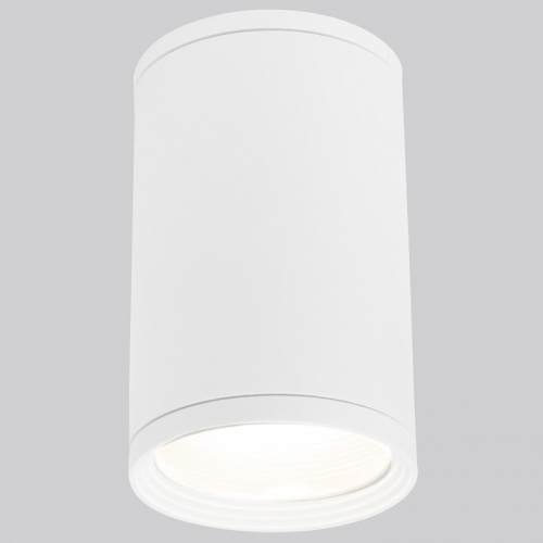 Накладной светильник Elektrostandard Light a056333 в Нижнем Новгороде