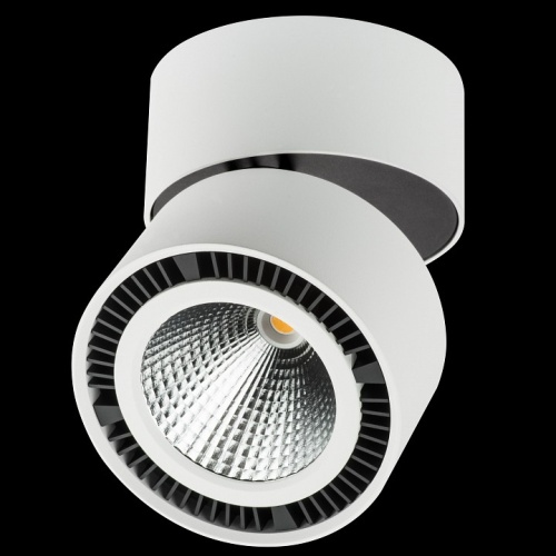 Накладной светильник Lightstar Forte Muro 213830 в Нижнем Новгороде фото 3