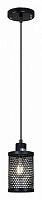 Подвесной светильник ILLUMICO  IL1031-1P-05 BK в Нижнем Новгороде