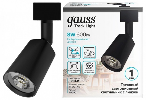 Светильник на штанге Gauss TR090 TR090 в Нижнем Новгороде фото 2